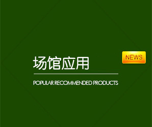 体育馆木地板