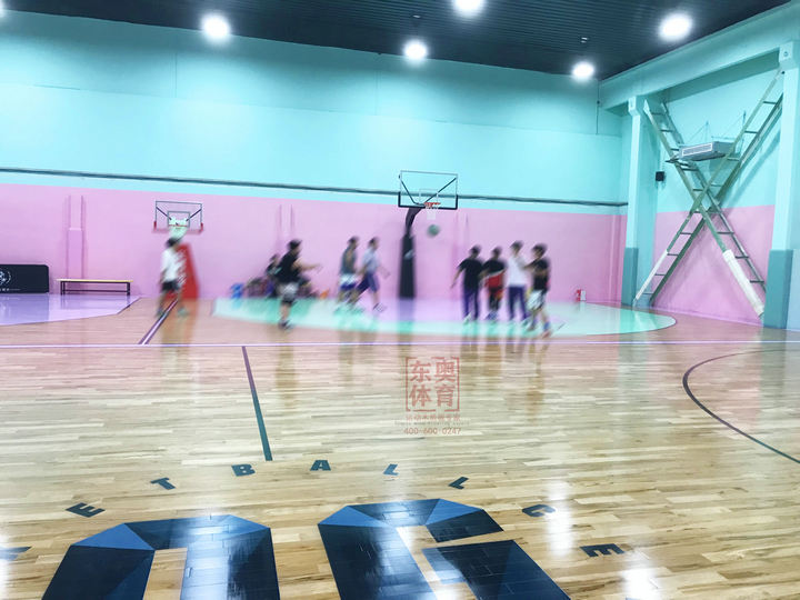 东奥体育|陕西篮球场体育木地板厂家